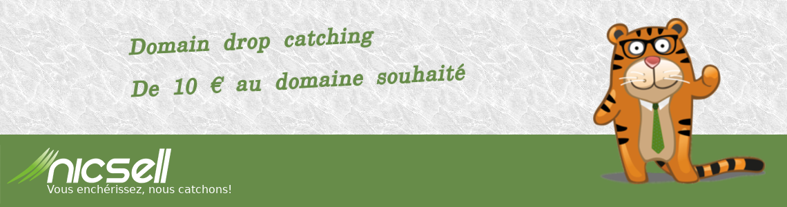 nicsell Banner Banner