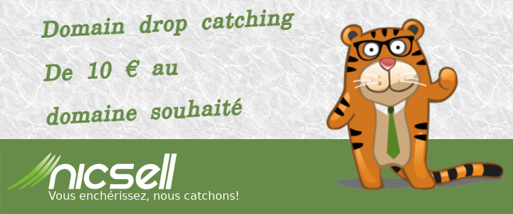 nicsell Banner Banner