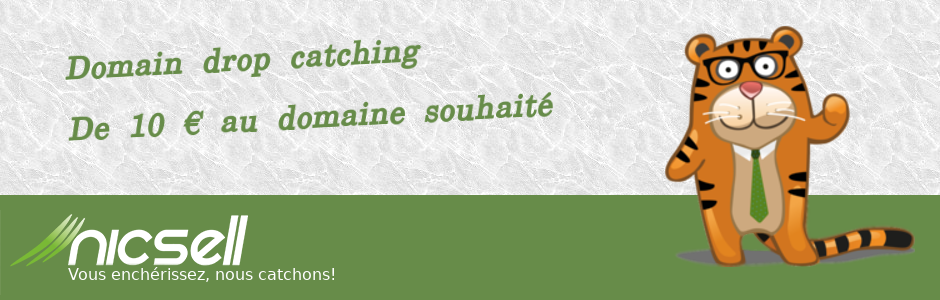 nicsell Banner Banner